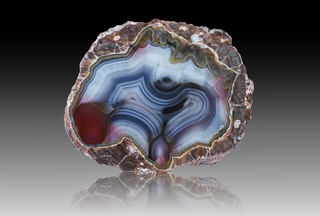 USA/New Mexico/Luna County/Deming/Baker Ranch