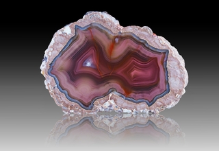 USA/New Mexico/Luna County/Deming/Baker Ranch