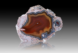 USA/New Mexico/Luna County/Deming/Baker Ranch