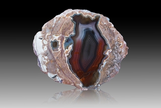 USA/New Mexico/Luna County/Deming/Baker Ranch