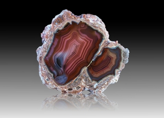 USA/New Mexico/Luna County/Deming/Baker Ranch