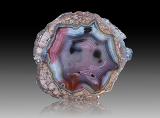 USA/New Mexico/Luna County/Deming/Baker Ranch