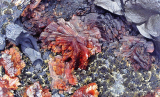 Deutschland/Hessen/Gießen, Bezirk/Lahn-Dill-Kreis/Lahnau/Waldgirmes/Grube Rotläufchen