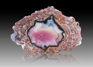 USA/New Mexico/Luna County/Deming/Baker Ranch