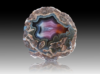 USA/New Mexico/Luna County/Deming/Baker Ranch