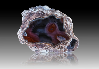 USA/New Mexico/Luna County/Deming/Baker Ranch