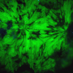 Frankreich/Occitanie (Okzitanien), Région/Hérault, Département/Lodève, Arrondissement/Le Puech/Rabejac