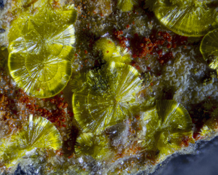 Frankreich/Occitanie (Okzitanien), Région/Hérault, Département/Lodève, Arrondissement/Le Puech/Rabejac