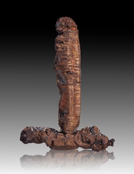 USA/Arizona/Cochise County/Mule Mts/Warren District/Bisbee/Lavender Open Pit Mine