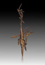 USA/Arizona/Gila County/Globe-Miami District/Miami-Inspiration District/Inspiration/Miami-Inspiration Deposit/Inspiration Mine