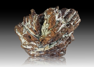 USA/New Mexico/Grant County/Georgetown District/Georgetown