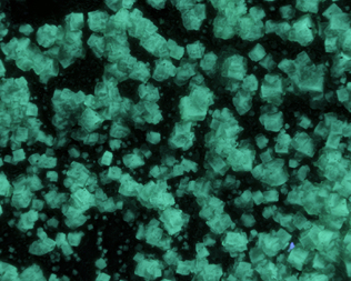 Frankreich/Occitanie (Okzitanien), Région/Hérault, Département/Lodève, Arrondissement/Le Puech/Rabejac