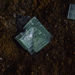 Frankreich/Occitanie (Okzitanien), Région/Hérault, Département/Lodève, Arrondissement/Le Puech/Rabejac