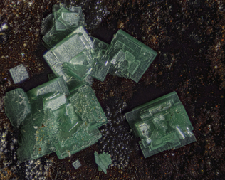 Frankreich/Occitanie (Okzitanien), Région/Hérault, Département/Lodève, Arrondissement/Le Puech/Rabejac