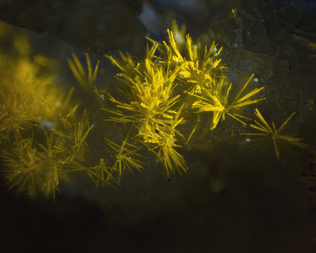 USA/Kalifornien (California)/San Bernardino County/Bristol Mts/Amboy/New Method Mine (Hope Uranium prospect)