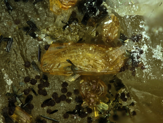 Deutschland/Bayern/Oberpfalz, Bezirk/Neustadt an der Waldnaab, Landkreis/Waidhaus/Silbergrube