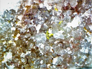 Deutschland/Hessen/Darmstadt, Bezirk/Bergstraße, Landkreis/Abtsteinach