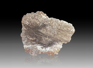 Deutschland/Sachsen/Sächsische Schweiz-Osterzgebirge, Landkreis/Döhlener Becken