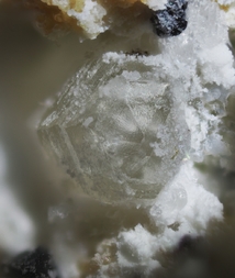 Deutschland/Rheinland-Pfalz/Mayen-Koblenz-Kreis/Vordereifel, Verbandsgemeinde/Ettringen/Bellerberg/Ettringer Bellerberg (Stbr. Caspar)