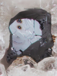 Deutschland/Rheinland-Pfalz/Mayen-Koblenz-Kreis/Vordereifel, Verbandsgemeinde/Ettringen/Bellerberg/Ettringer Bellerberg (Stbr. Caspar)