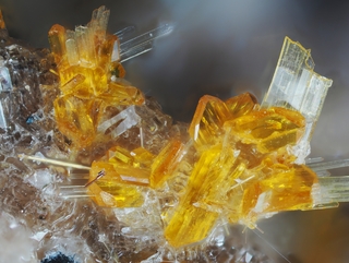 Deutschland/Rheinland-Pfalz/Mayen-Koblenz-Kreis/Vordereifel, Verbandsgemeinde/Ettringen/Bellerberg/Ettringer Bellerberg (Stbr. Caspar)