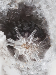 Deutschland/Rheinland-Pfalz/Mayen-Koblenz-Kreis/Vordereifel, Verbandsgemeinde/Ettringen/Bellerberg/Ettringer Bellerberg (Stbr. Caspar)