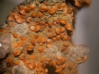 Deutschland/Bayern/Unterfranken, Bezirk/Haßberge, Landkreis/Maroldsweisach, Marktgemeinde/Zeilberg, Steinbruch