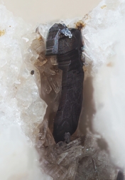 Deutschland/Rheinland-Pfalz/Mayen-Koblenz-Kreis/Vordereifel, Verbandsgemeinde/Ettringen/Bellerberg/Ettringer Bellerberg (Stbr. Caspar)