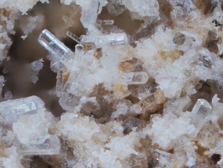 Deutschland/Rheinland-Pfalz/Mayen-Koblenz-Kreis/Vordereifel, Verbandsgemeinde/Ettringen/Bellerberg/Ettringer Bellerberg (Stbr. Caspar)