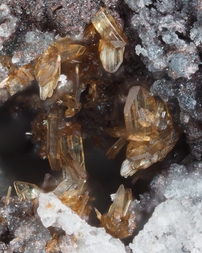 Deutschland/Rheinland-Pfalz/Mayen-Koblenz-Kreis/Vordereifel, Verbandsgemeinde/Ettringen/Bellerberg/Ettringer Bellerberg (Stbr. Caspar)