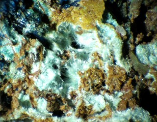 Deutschland/Niedersachsen/Göttingen, Landkreis/Bad Grund, Gemeinde/Bergstadt Bad Grund, Ortsteil/Steinbruch Winterberg