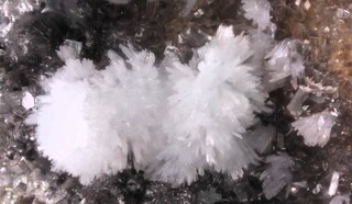 Deutschland/Rheinland-Pfalz/Ahrweiler, Landkreis/Brohltal, Verbandsgemeinde/Brenk, Gemeinde/Schellkopf