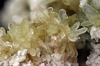 Deutschland/Hessen/Gießen, Bezirk/Lahn-Dill-Kreis/Herborn, Stadtgemeinde/Seelbach, Ortsteil (Herbornseelbach)/Neuer Steinbruch (Bornberg)