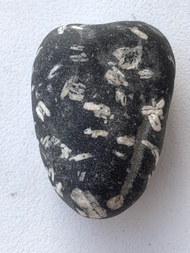 Deutschland/Bayern/Oberbayern, Bezirk/Rosenheim, Landkreis/Kolbermoor, Stadt/Mangfall