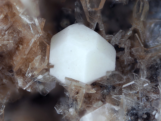 Deutschland/Rheinland-Pfalz/Vulkaneifel, Landkreis/Daun/Üdersdorf/Emmelberg