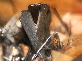 Frankreich/Provence-Alpes-Côte d'Azur, Région/Alpes-de-Haute-Provence, Département/Barcelonnette, Arrondissement/Saint-Pons