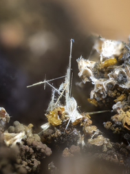 Deutschland/Bayern/Oberpfalz, Bezirk/Neustadt an der Waldnaab, Landkreis/Waidhaus/Hagendorf/Hagendorf-Süd (Grube Cornelia)