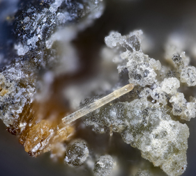 Deutschland/Bayern/Oberpfalz, Bezirk/Neustadt an der Waldnaab, Landkreis/Waidhaus/Hagendorf/Hagendorf-Süd (Grube Cornelia)