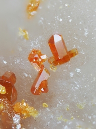 Österreich/Kärnten/Völkermarkt, Bezirk/Hochobir/Oberschäffler Alpe/Waldbrandstollen