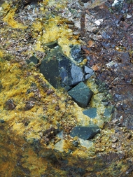 Schweden/Västerbotten, Provinz/Skelleftea