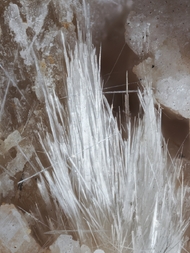 Russland/Nordwestrussland, Föderationskreis/Murmansk, Oblast/Kola-Halbinsel/Lovozero/Karnasurt, Berg/Pegmatit Nr. 61