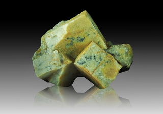 Russland/Nordwestrussland, Föderationskreis/Murmansk, Oblast/Kola-Halbinsel/Lovozero/Berg Flora