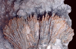 Deutschland/Sachsen/Erzgebirgskreis/Oberwiesenthal/Hammerunterwiesenthal/Richterbruch