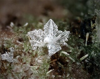 Deutschland/Rheinland-Pfalz/Vulkaneifel, Landkreis/Daun/Üdersdorf/Emmelberg