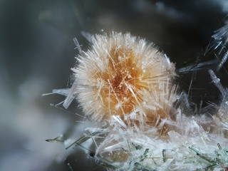 Russland/Nordwestrussland, Föderationskreis/Murmansk, Oblast/Kola-Halbinsel/Lovozero/Karnasurt, Berg/Jubiläumspegmatit (Yubileinaya; Yubileinoye; Jubilejnaja)