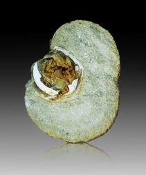 Deutschland/Rheinland-Pfalz/Alzey-Worms, Landkreis/Eckelsheim/Steigerberg