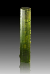 Italien/Aostatal (Valle d'Aosta), Region/Champdepraz/Monte Barbeston