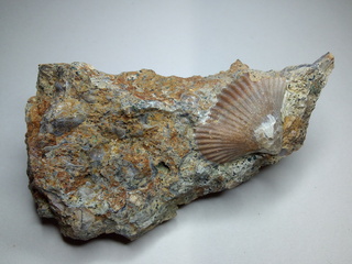 Deutschland/Sachsen/Dresden/Ratssteinbruch