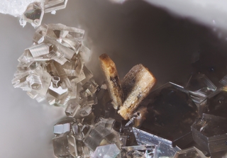 Österreich/Salzburg/Zell am See, Bezirk (Pinzgau)/Neukirchen am Großvenediger, Marktgemeinde/Sulzau, Katastralgemeinde/Obersulzbachtal/Hopffeldboden