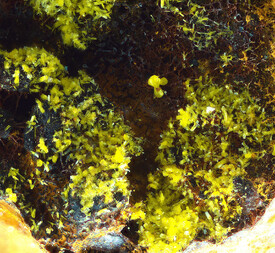 Italien/Sardinien (Sardegna), Region/Cagliari, Metropolitanstadt/Capoterra/Arcu su Linnarbu